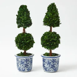 Year-round Decorations | Christmas Decorations<Mrs. Alice Chinoiserie Potted Boxwood Tree (Pair)
