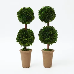 Year-round Decorations | Spring Decorations<Mrs. Alice Double Potted Boxwood Balls (Pair)
