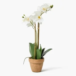 Year-round Decorations | Forever Blooms<Mrs. Alice Double Stem Potted Faux Orchid
