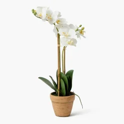 Year-round Decorations | Forever Blooms<Mrs. Alice Double Stem Potted Faux Orchid
