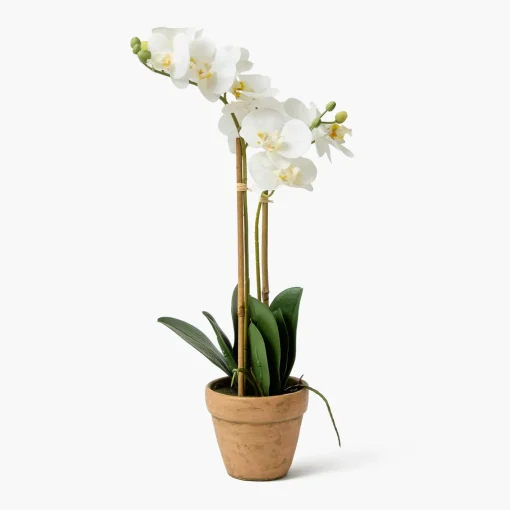 Year-round Decorations | Forever Blooms<Mrs. Alice Double Stem Potted Faux Orchid