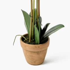 Year-round Decorations | Forever Blooms<Mrs. Alice Double Stem Potted Faux Orchid