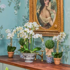 Year-round Decorations | Forever Blooms<Mrs. Alice Double Stem Potted Faux Orchid