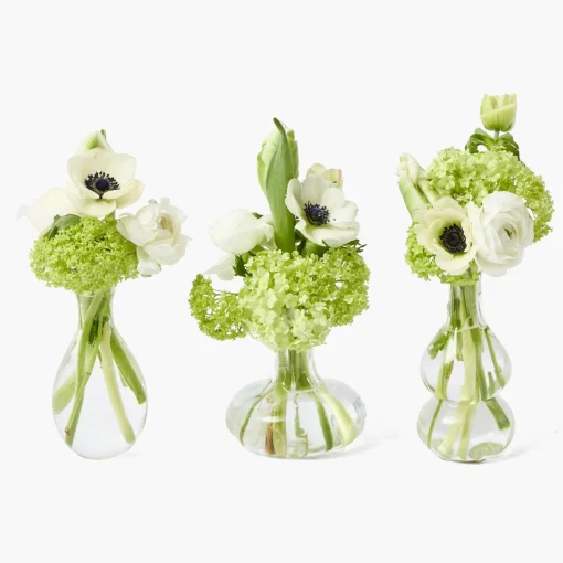 Summer Glassware | Vases<Mrs. Alice Esme Bud Vase Set
