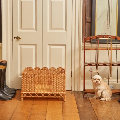 Furniture | Furniture<Mrs. Alice Ethel Rattan Dog Bed