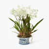 Year-round Decorations | Forever Blooms<Mrs. Alice Faux Dancing Lady Orchid in Chinoiserie Planter