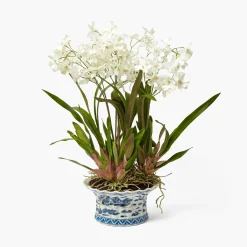 Year-round Decorations | Forever Blooms<Mrs. Alice Faux Dancing Lady Orchid in Chinoiserie Planter