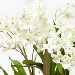 Year-round Decorations | Forever Blooms<Mrs. Alice Faux Dancing Lady Orchid in Chinoiserie Planter