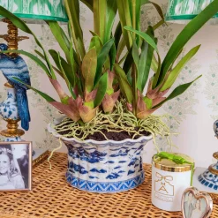 Year-round Decorations | Forever Blooms<Mrs. Alice Faux Dancing Lady Orchid in Chinoiserie Planter