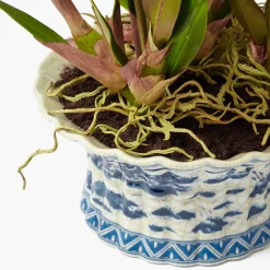 Year-round Decorations | Forever Blooms<Mrs. Alice Faux Dancing Lady Orchid in Chinoiserie Planter