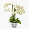 Year-round Decorations | Forever Blooms<Mrs. Alice Faux Orchid in Chinoiserie Planter
