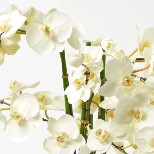 Year-round Decorations | Forever Blooms<Mrs. Alice Faux Orchid in Chinoiserie Planter