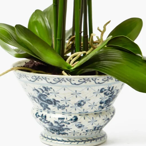 Year-round Decorations | Forever Blooms<Mrs. Alice Faux Orchid in Chinoiserie Planter