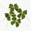 Napkin Rings & Bows<Mrs. Alice Gold Trimmed Green Velvet Bows (Set of 4)