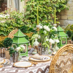 Summer Candleware | Candles<Mrs. Alice Green Parrot Candle Set
