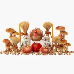 Autumn Decorations<Mrs. Alice Joy of Autumn Tablescape
