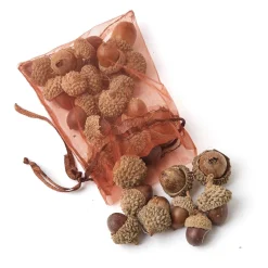 Autumn Decorations<Mrs. Alice Decorative Acorns