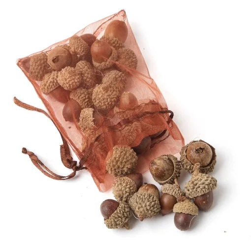 Autumn Decorations<Mrs. Alice Decorative Acorns
