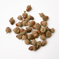 Autumn Decorations<Mrs. Alice Decorative Acorns