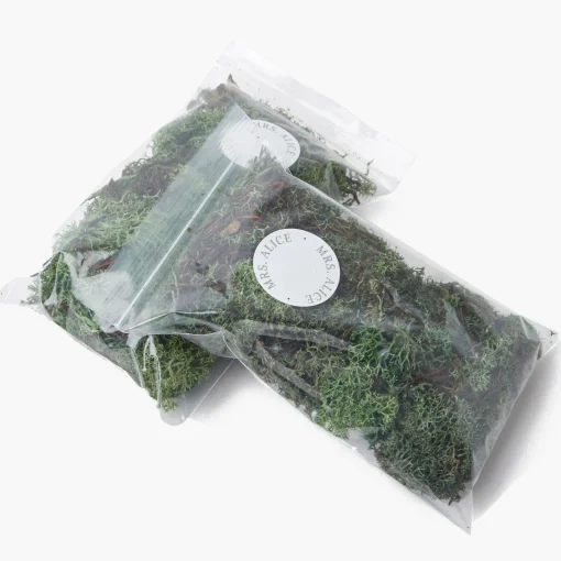 Spring Decorations | Autumn Decorations<Mrs. Alice Decorative Moss