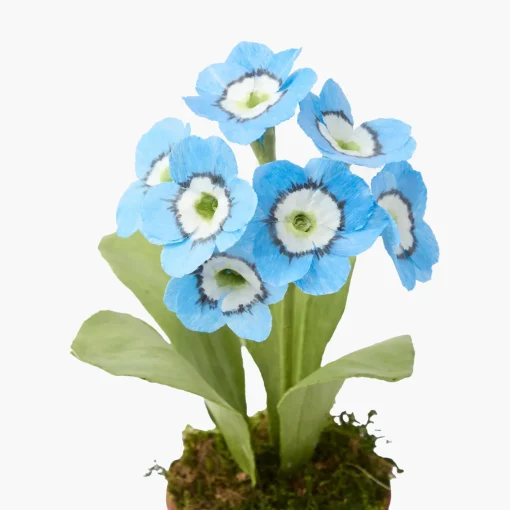 Year-round Decorations | Forever Blooms<Mrs. Alice Handpainted Blue Auricula
