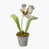 Year-round Decorations | Forever Blooms<Mrs. Alice Handpainted Chocolate Tulip