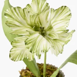 Year-round Decorations | Forever Blooms<Mrs. Alice Handpainted Green Tulip