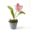 Year-round Decorations | Forever Blooms<Mrs. Alice Handpainted Red Tulip