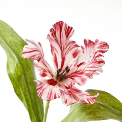 Year-round Decorations | Forever Blooms<Mrs. Alice Handpainted Red Tulip