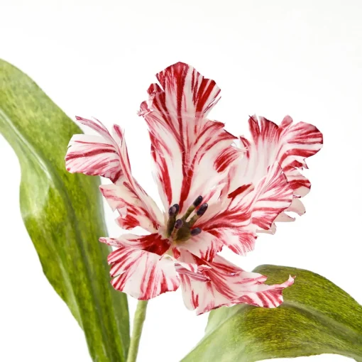 Year-round Decorations | Forever Blooms<Mrs. Alice Handpainted Red Tulip