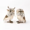 Autumn Decorations<Mrs. Alice Pair of Tawny Owls