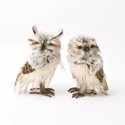 Autumn Decorations<Mrs. Alice Pair of Tawny Owls