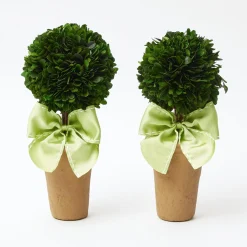 Spring Decorations<Mrs. Alice Potted Boxwood Ball with Green Bow (Pair)