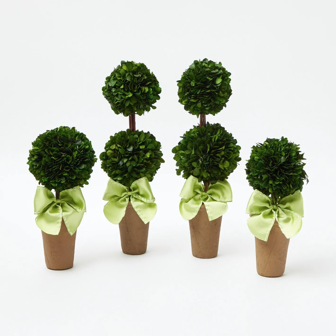 Spring Decorations<Mrs. Alice Potted Boxwood Ball with Green Bow (Pair)
