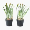 Christmas Decorations<Mrs. Alice Potted Faux Frosted Snowdrop (Pair)