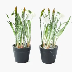 Christmas Decorations<Mrs. Alice Potted Faux Frosted Snowdrop (Pair)