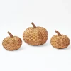 Autumn Decorations<Mrs. Alice Rattan Pumpkin Family