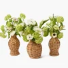 Vases | Vases & Planters<Mrs. Alice Rattan Vase (Set of 3)