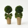 Year-round Decorations | Christmas Decorations<Mrs. Alice Ribboned Potted Boxwood Ball (Pair)