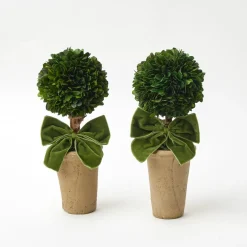 Year-round Decorations | Christmas Decorations<Mrs. Alice Ribboned Potted Boxwood Ball (Pair)