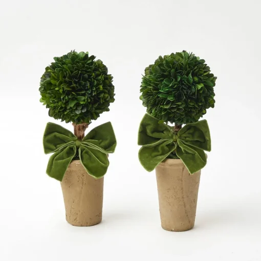 Year-round Decorations | Christmas Decorations<Mrs. Alice Ribboned Potted Boxwood Ball (Pair)