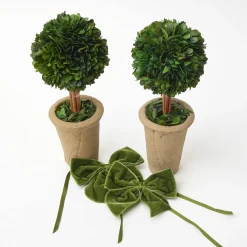 Year-round Decorations | Christmas Decorations<Mrs. Alice Ribboned Potted Boxwood Ball (Pair)