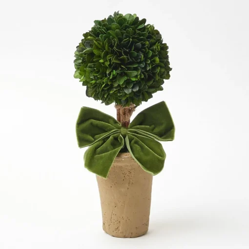 Year-round Decorations | Christmas Decorations<Mrs. Alice Ribboned Potted Boxwood Ball (Pair)