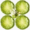 Crockery Sets<Mrs. Alice Serena Green Cabbage Dinner & Starter Plates (Set of 8)