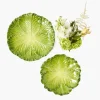 Starter Plates<Mrs. Alice Serena Green Cabbage Starter Plate