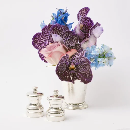 Crockery Sets | For The Hostess<Mrs. Alice Sterling Silver Salt & Pepper Set (Pair)