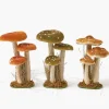 Year-round Decorations | Autumn Decorations<Mrs. Alice Tall Mixed Mushroom Set